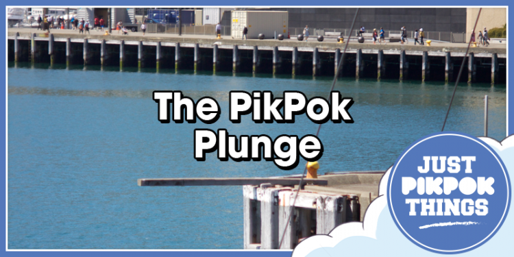 pikpokplunge